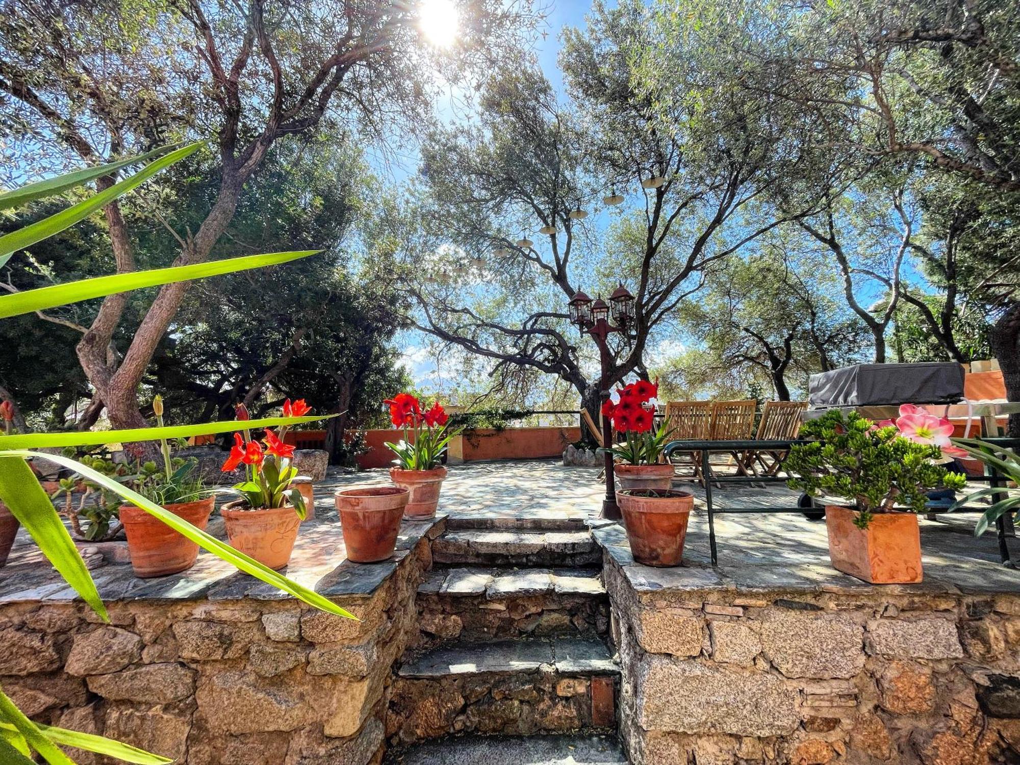 Villa Antonia Calvi  Exterior foto